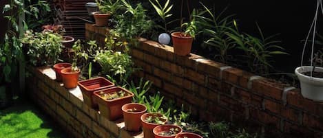 Un jardin agrémenté de plantes en pot disposées le long d’un mur de briques, d’une pelouse et d’un autre mur de briques recouvert de plantes grimpantes.