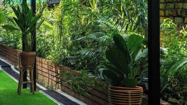 A lush garden with a brick wall, green grass, and various plants.