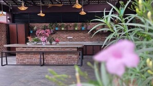 A kitchen area with a brick backsplash, hanging pendant lights, and potted plants.