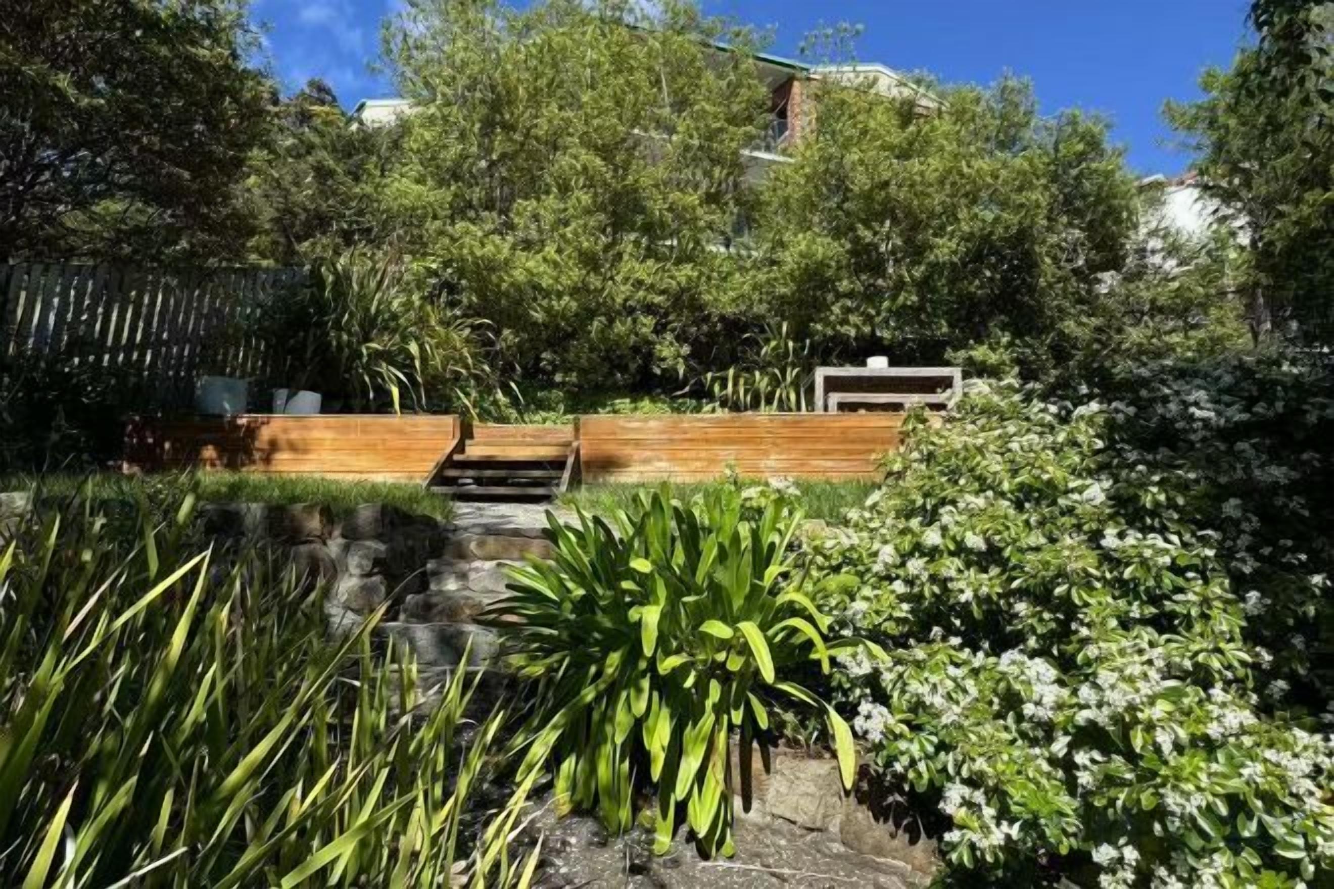A garden with a pond, wooden steps, and various plants.