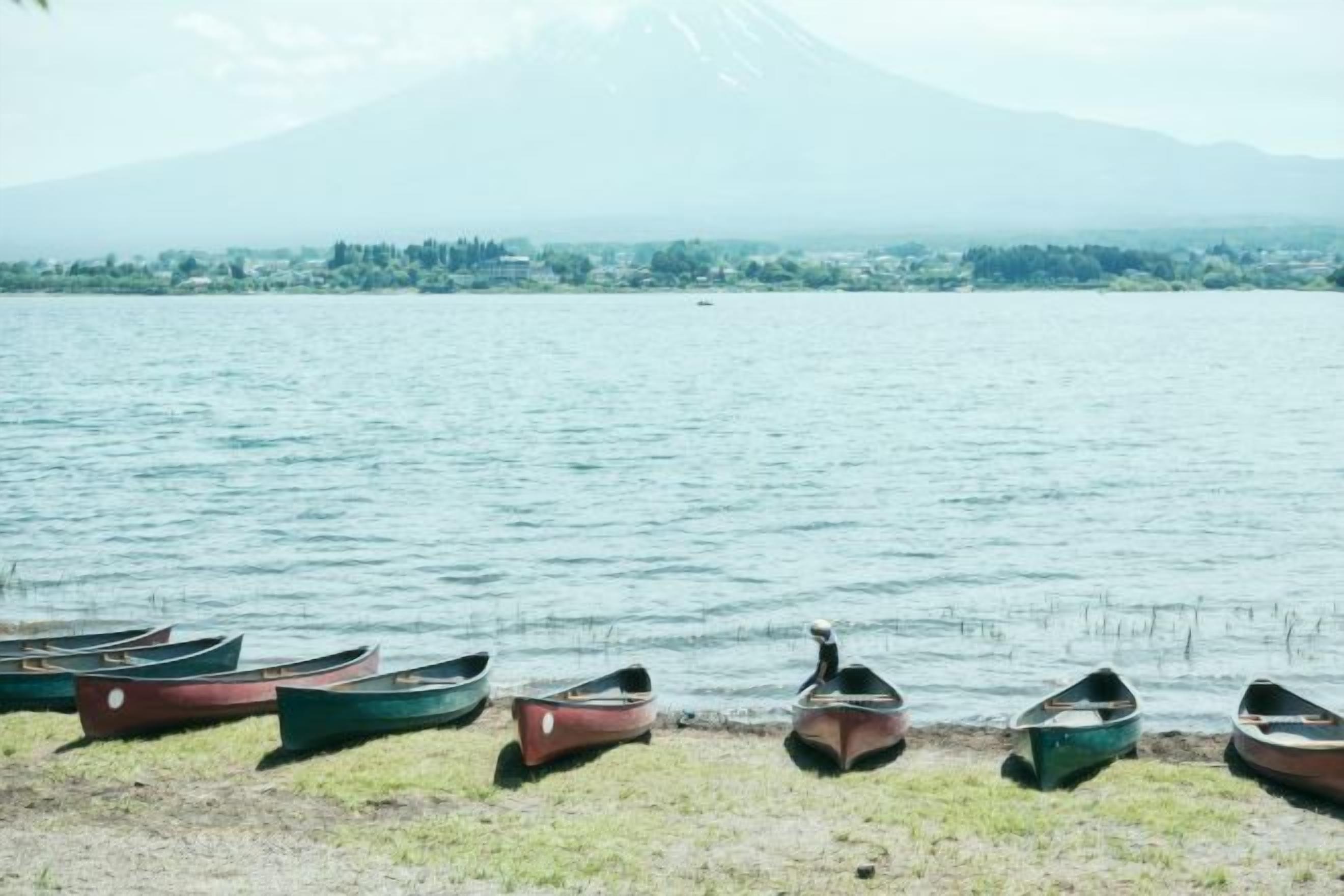 A row of boats lined up on a lakeshore with a mountain in the background.
