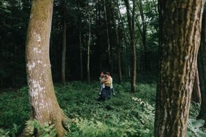 Vista desde la propiedad