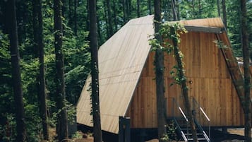 Uma cabana de madeira com telhado inclinado, rodeada por uma floresta.