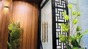 A wooden wall with a vertical light fixture, a glass door with a geometric pattern, and a potted plant with green leaves. - RosaMay Thu Khoa Huan (Ho Chi Minh City)