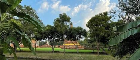 Vista desde la propiedad