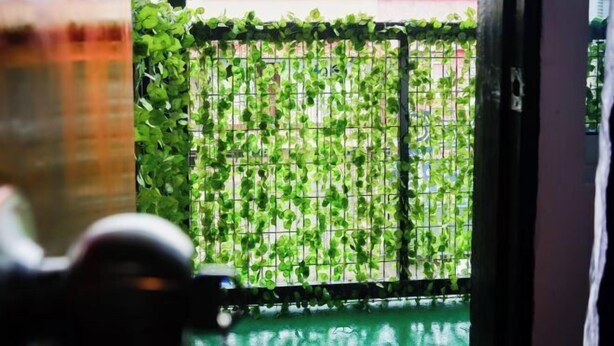 A view through a window with a metal grid, a green wall, and a glimpse of a building outside. - Project X Scuba (Semporna)