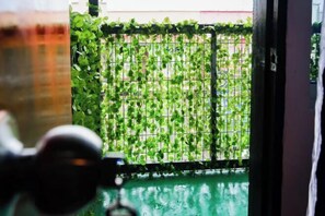A view through a window with a metal grid, a green wall, and a glimpse of a building outside. - Project X Scuba (Semporna)