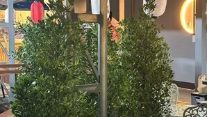 تناول الطعام بالخارج