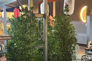 Opções para refeição ao ar livre