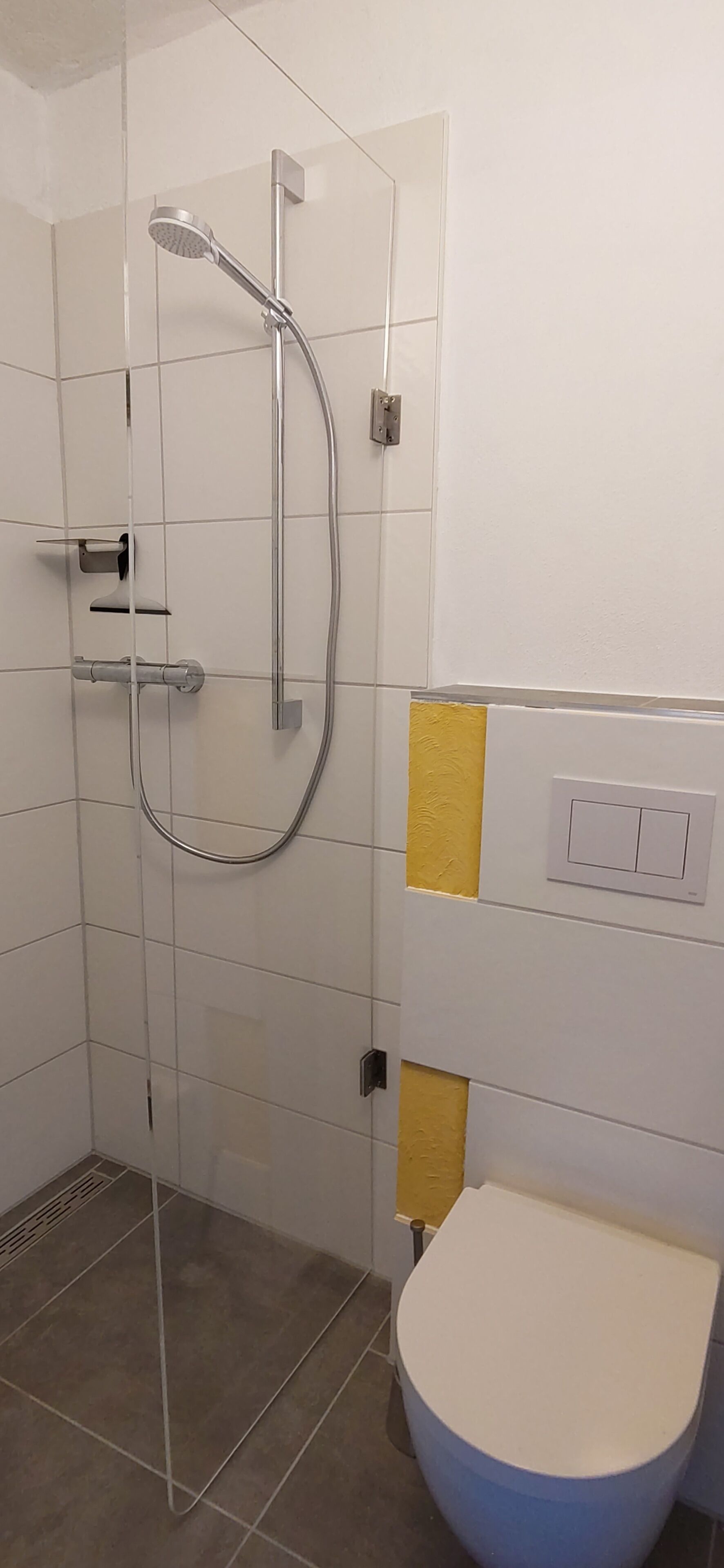 A bathroom with a glass-enclosed shower, a toilet, and a wall-mounted light switch.