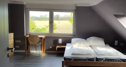Activity country house near the Baltic Sea with pool & orchard, for family & friends
