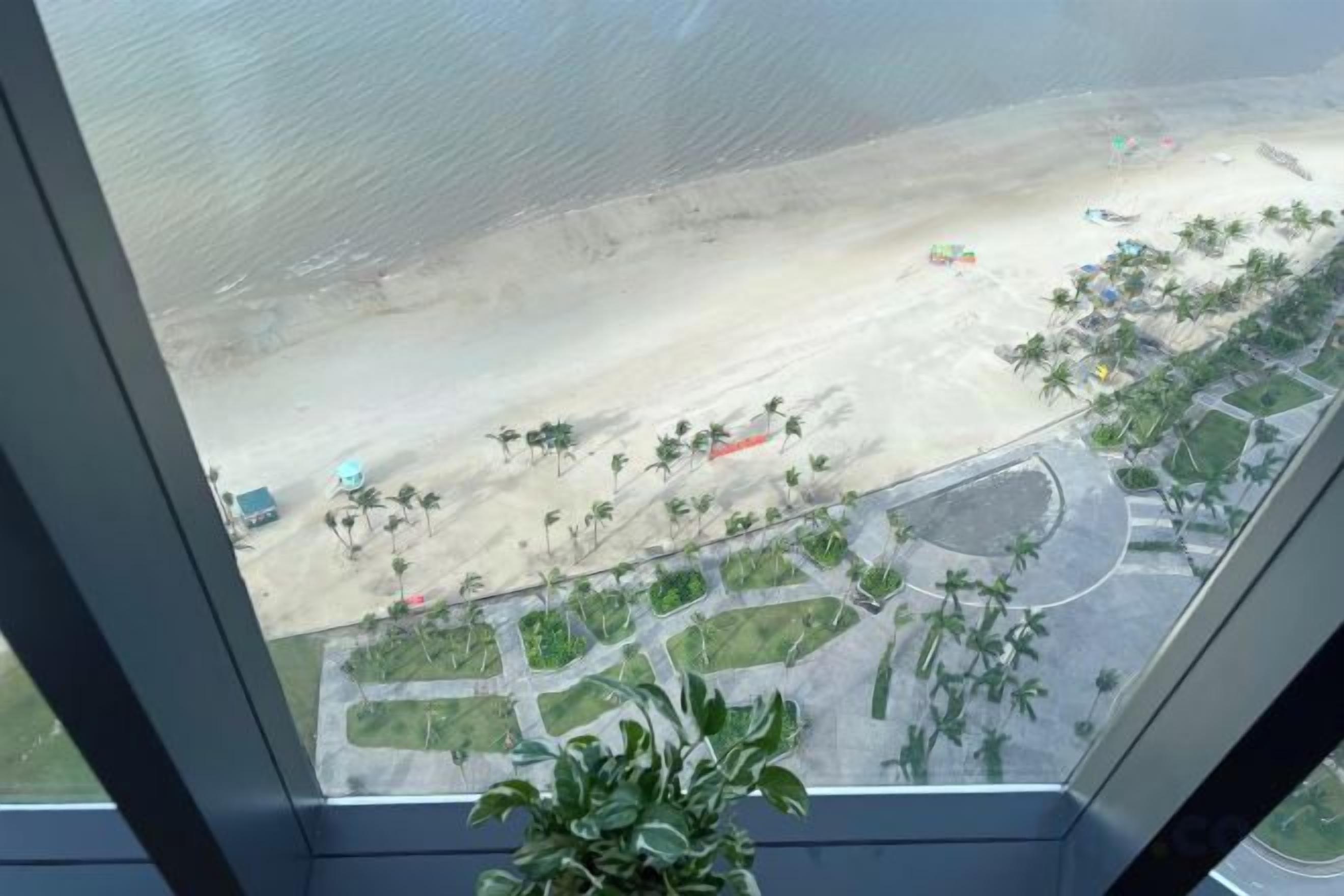 Blick aus einem Fenster auf einen Strand mit Palmen und einer Straße.