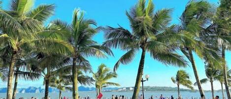 Private beach nearby, beach towels