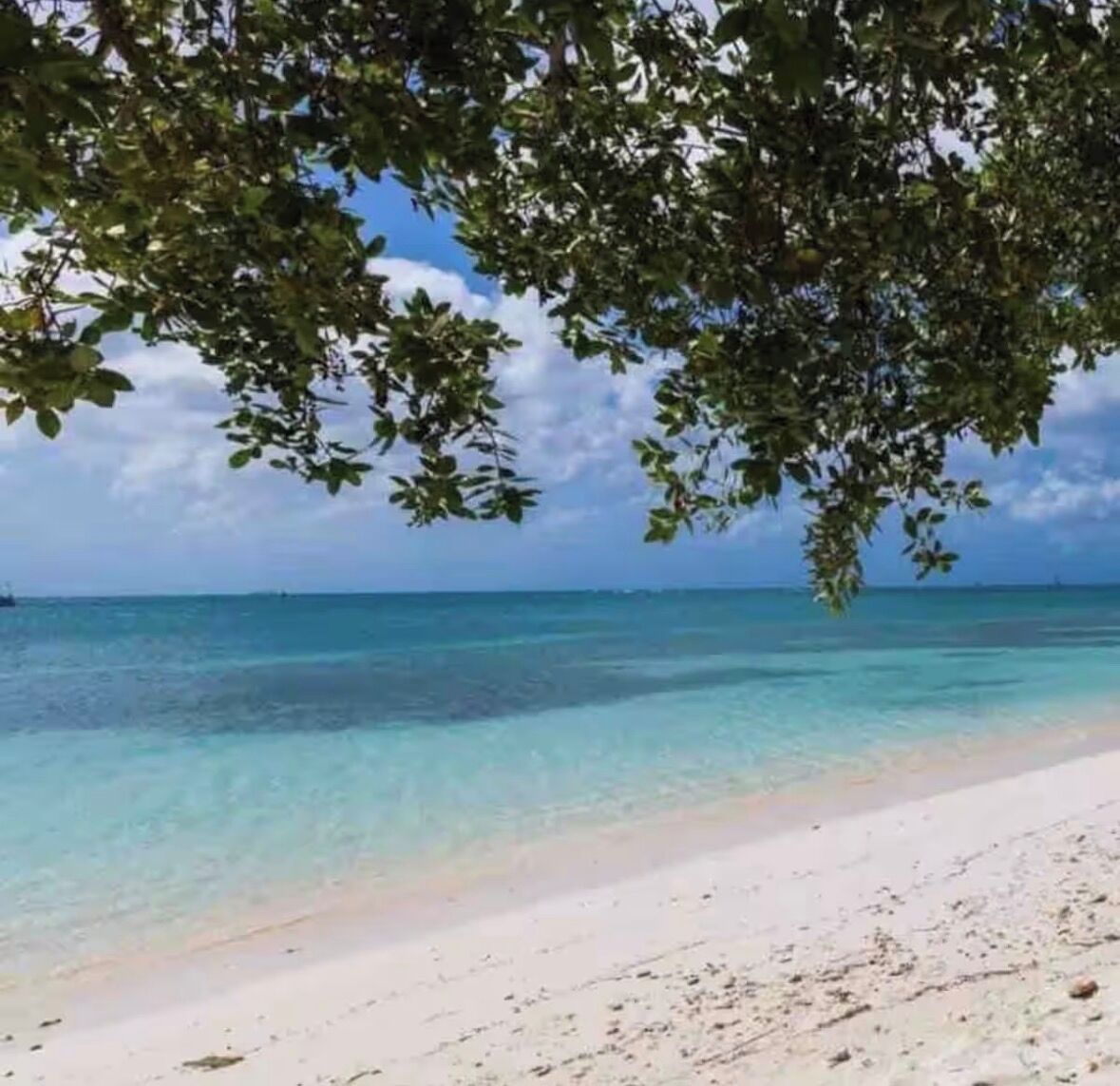 Sun-loungers, beach towels