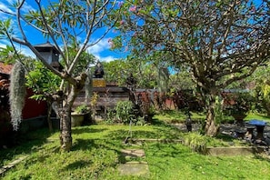 Un jardín con diversas plantas y un banco de piedra.