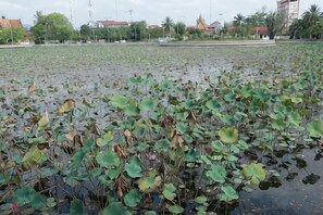 Unclassified image, 2 of 20, button - Suorsdei Sawadee (Kampot)