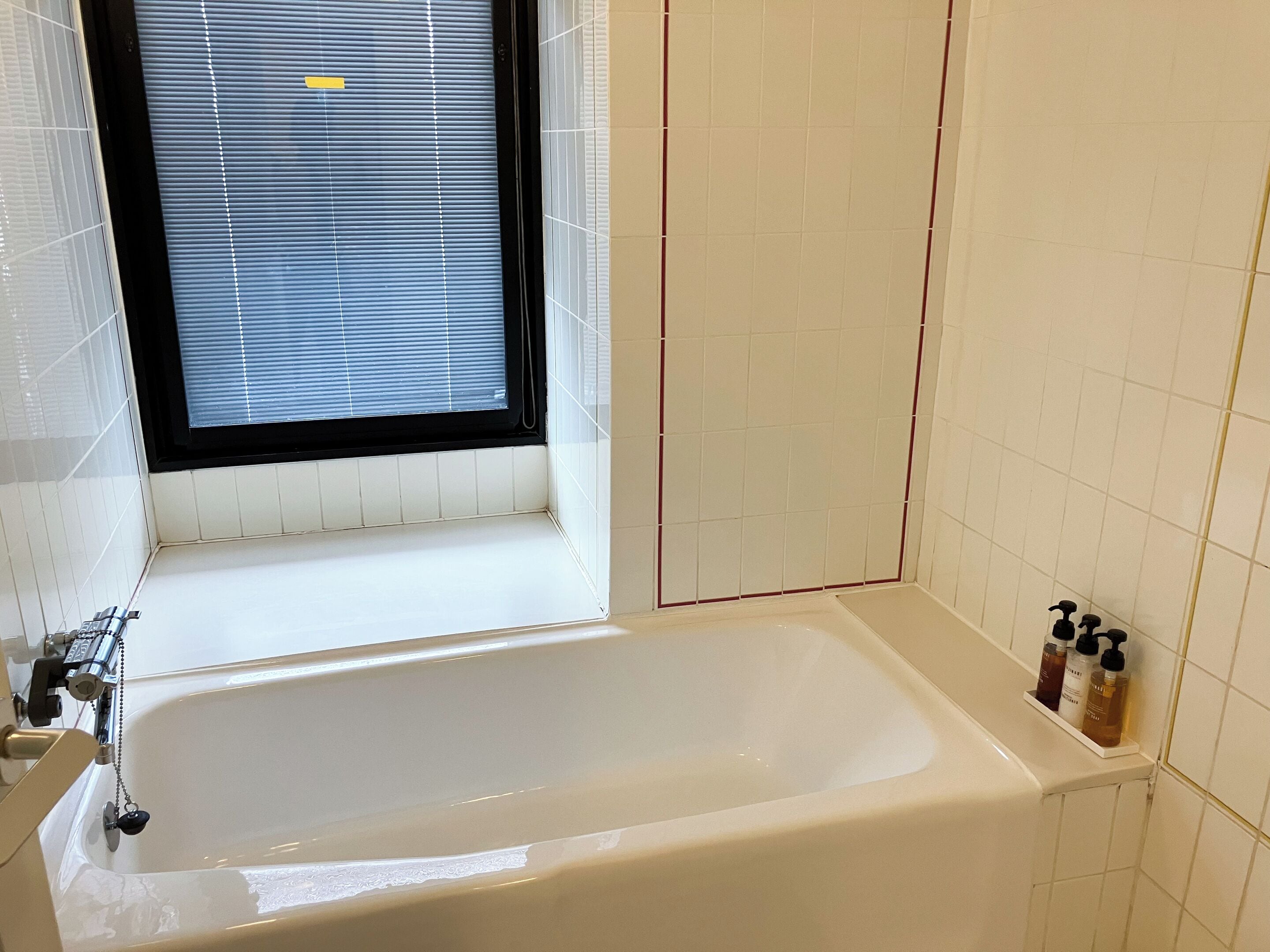 Combined shower/tub, hair dryer, towels, soap