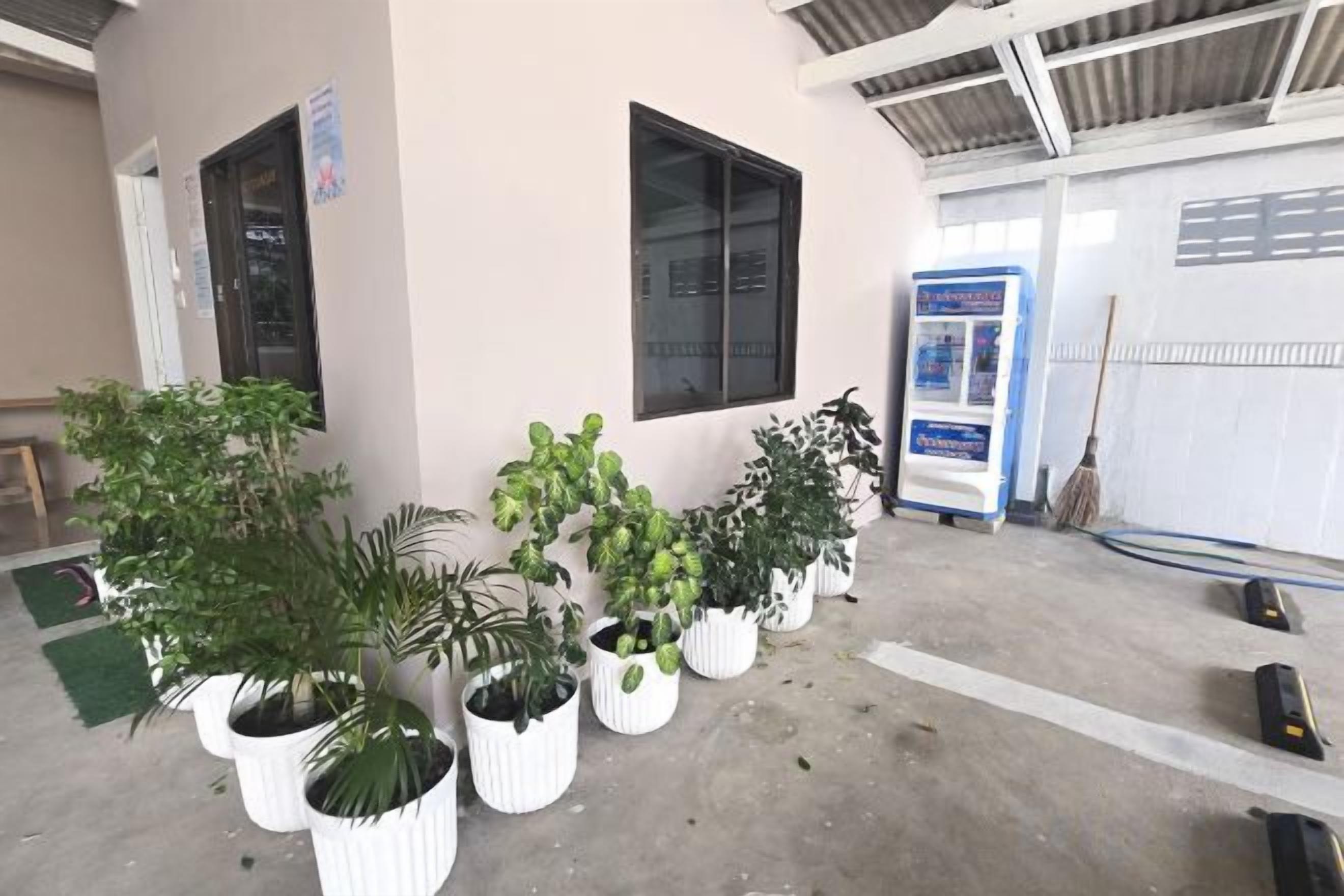 A building with multiple windows, potted plants, and a broom leaning against the wall.