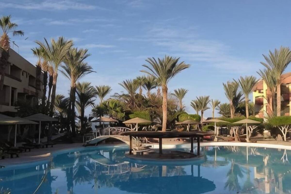 Une piscine entourée de palmiers et un bâtiment doté de balcons.