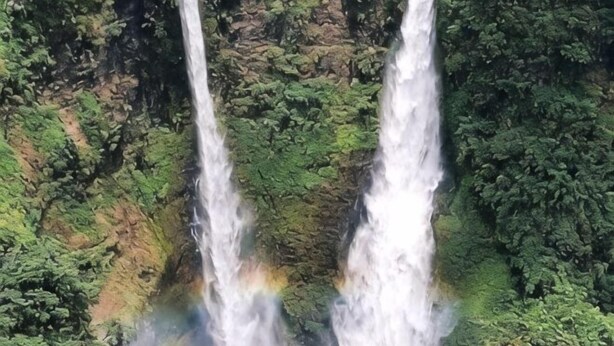 Una cascada con dos corrientes que descienden hacia un bosque verde y frondoso.