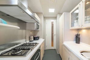 Superior Apartment, 2 Bedrooms, Kitchen, City View | Private kitchen | Stovetop, cookware/dishes/utensils