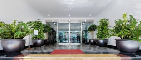 A hotel lobby with a red carpet, large potted plants, and a glass entrance.