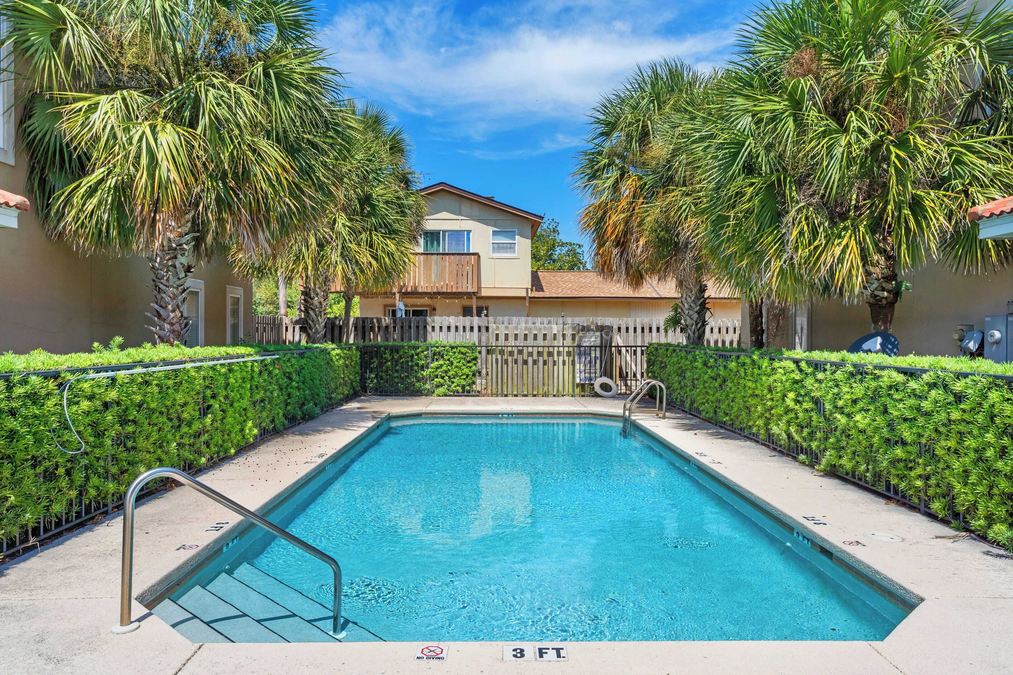 A rectangular swimming pool with a metal ladder and a no diving sign, surrounded by well-maintained hedges and palm trees.