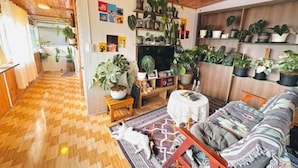 A wooden-floored living room with a sofa, a dog, and a wall adorned with potted plants. - Homieow inn (Dalat)