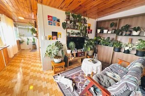 Interior - Homieow inn (Dalat)