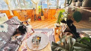 A cozy room with a wooden floor, a sofa, a coffee table with bottles, and various plants. - Homieow inn (Dalat)