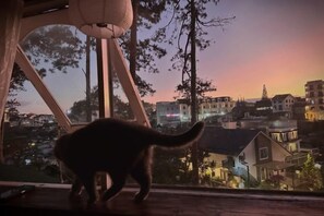 A cat on a balcony overlooking a cityscape at dusk. - Homieow inn (Dalat)
