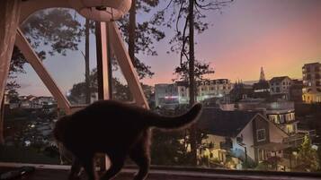 View from property
