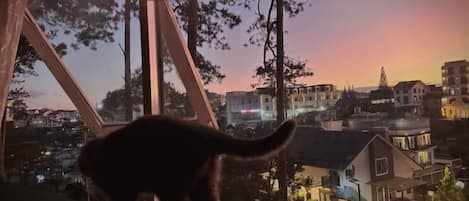 Vista desde la propiedad