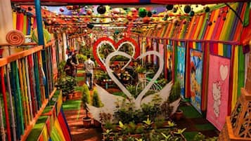 A colorful indoor garden with heart-shaped planters and a variety of plants.