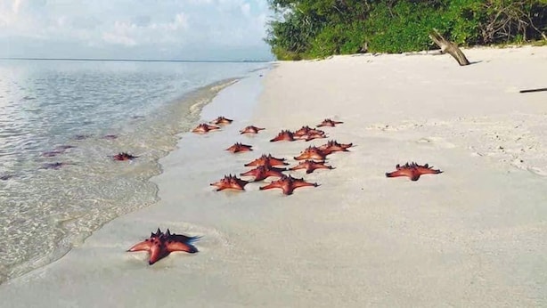 Ein Strand mit klarem Wasser und einem Sandufer.