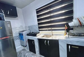 Fridge, oven, stovetop, electric kettle