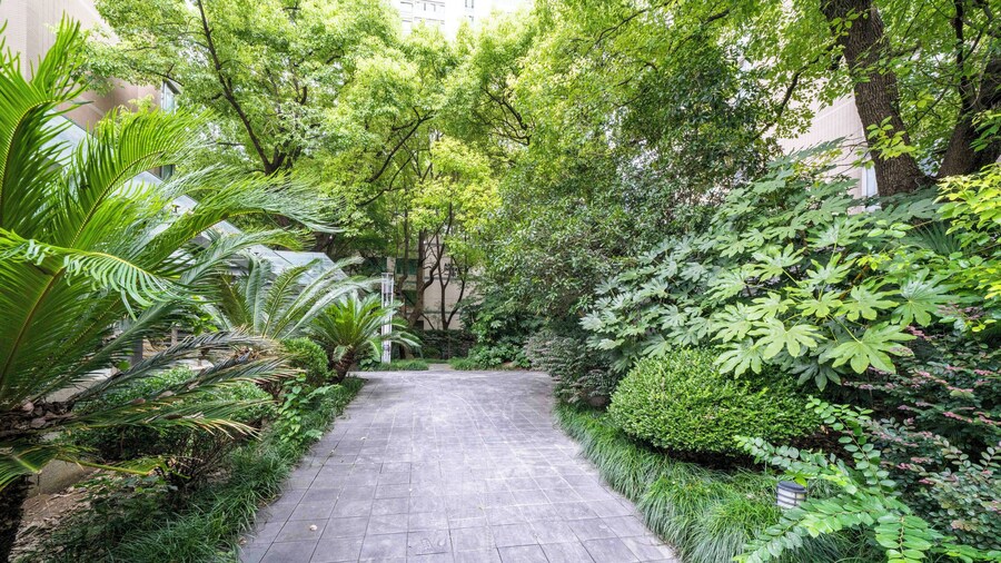 Tyms Elegant 1BR 1BA Apt Yongxin Century