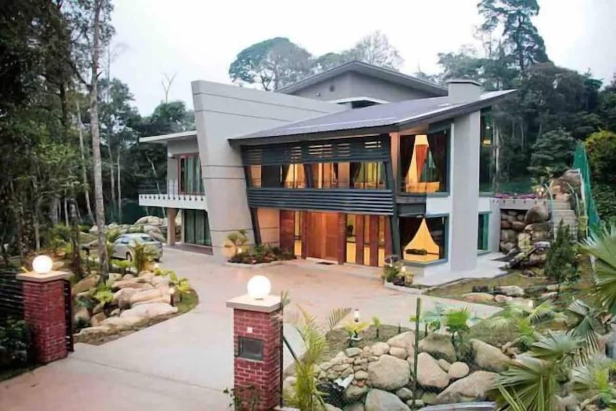 A modern two-story house with a stone pathway leading to the entrance, surrounded by lush greenery.