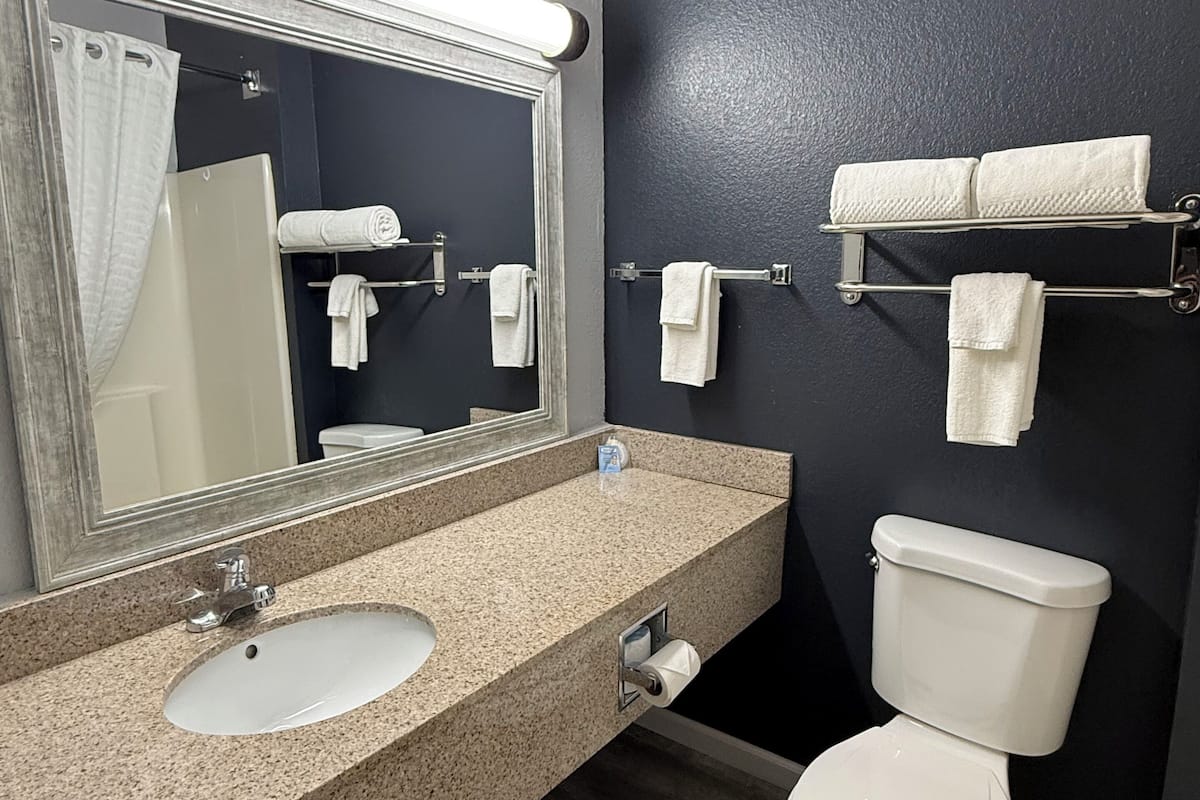 Une salle de bain équipée d’un lavabo, d’un miroir, de toilettes et d’un porte-serviettes.