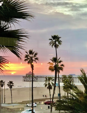 A beach with palm trees, a pier, and a sunset.