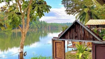 Vista desde la propiedad