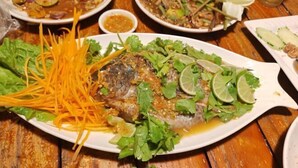 Une table où l’on trouve une variété de plats, dont un plat de poisson agrémenté d’herbes et de citron vert, ainsi que d’autres assiettes contenant différents aliments et un petit bol de sauce.