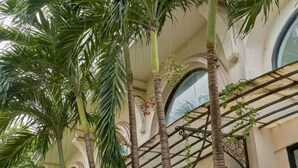 Un edificio con altas palmeras y ventanas arqueadas.