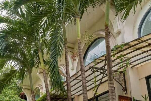 A building with tall palm trees and arched windows. - Yen Living Binh Th Nh (Ho Chi Minh Municipality)