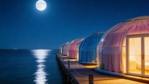 A row of dome-shaped, transparent cabins with curtains, connected by a wooden deck, overlooking the sea under a full moon. - Turtle Garden Resort @ Semporna (Semporna)