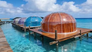 Overwater bungalows with clear blue water and wooden walkways. - Turtle Garden Resort @ Semporna (Semporna)