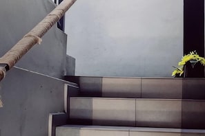 Una scala con corda, un muro in cemento e un'esplosione di fiori gialli.