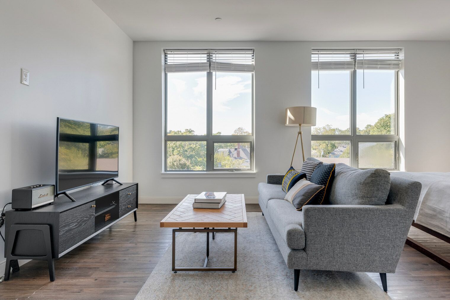 Télévision, chaîne hi-fi