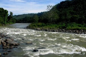 Un río con rocas y vegetación en las orillas.