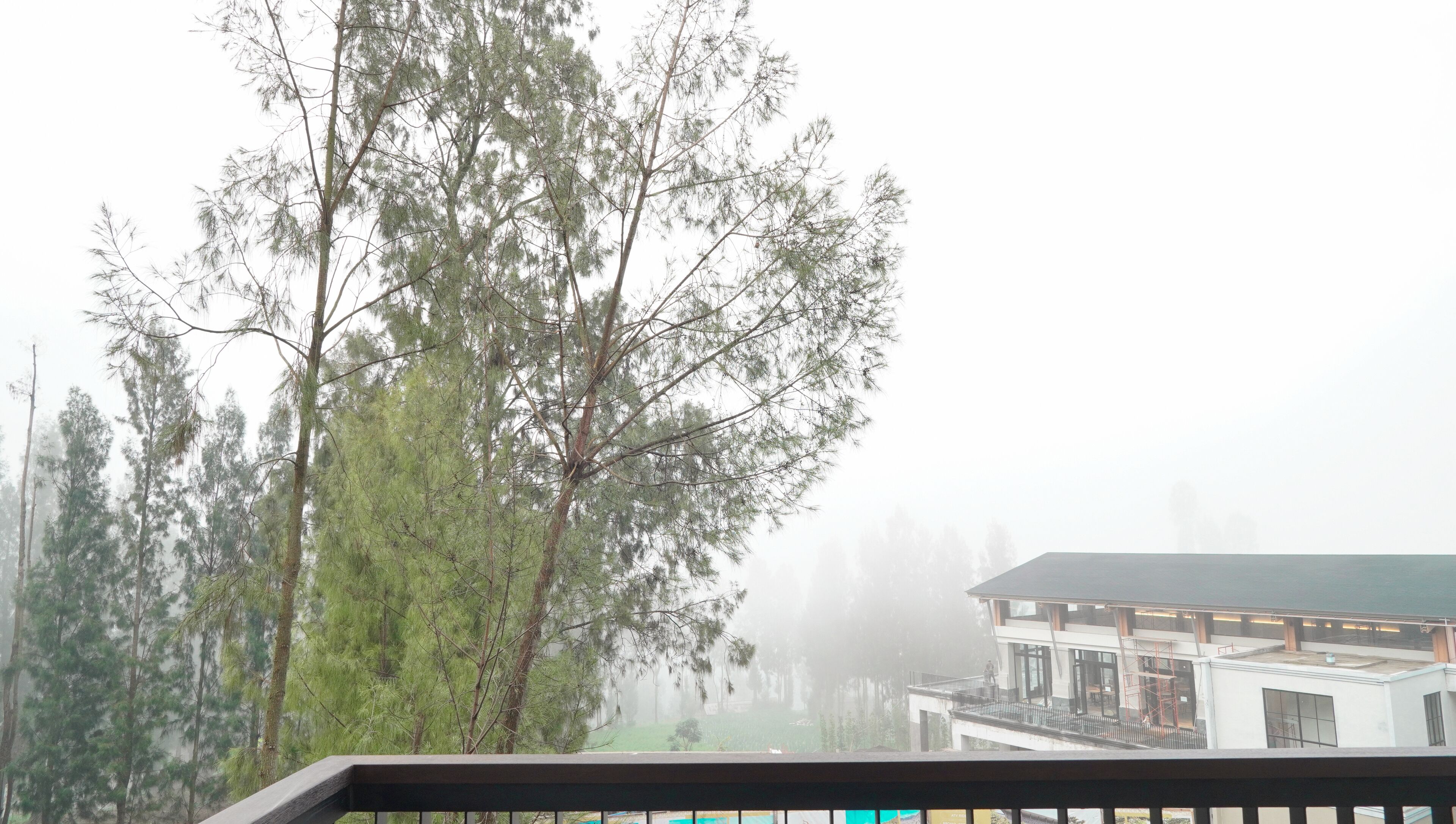 Deluxe Premier Room | Balcony view